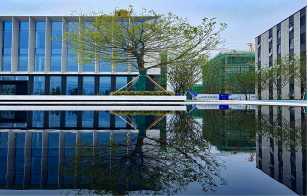 CW35 Narrow‑Frame Curtain Wall Series